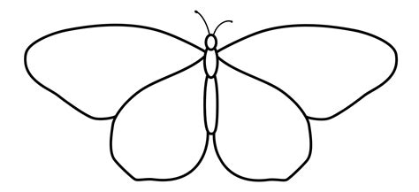 Butterfly black and white outline illustration. Coloring book or page ...