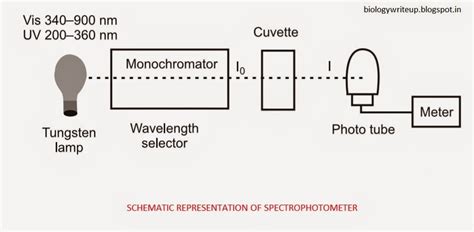 BIOLOGY WRITE-UP - BIOLOGY ARTICLES: SPECTROPHOTOMETRY: Principle, schematic representation ...