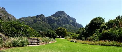 Kirstenbosch National Botanical Gardens - Cape Town | park, forest