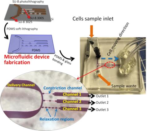 Microfluidic device fabrication processes and experimental setup ...