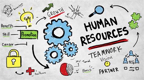 Intro to Human Resources Course - Online Video Lessons | Study.com