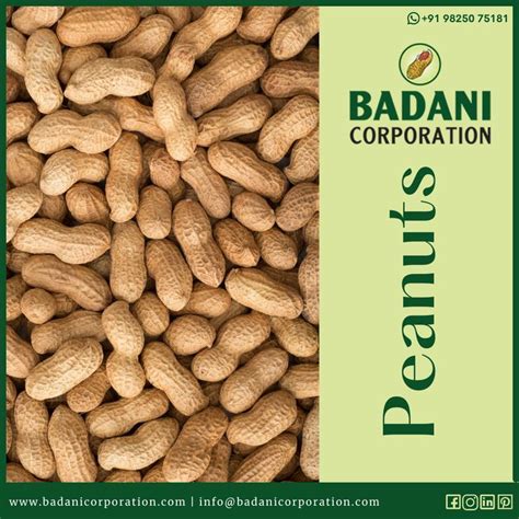 Peanuts | Peanut, Good sources of protein, Roasted peanuts