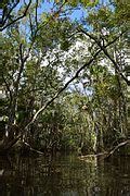 Category:Apalachicola River - Wikimedia Commons