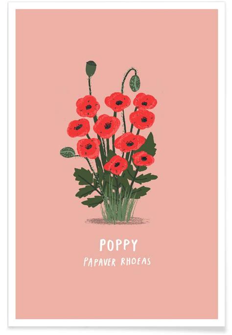 Poppy Poster | JUNIQE