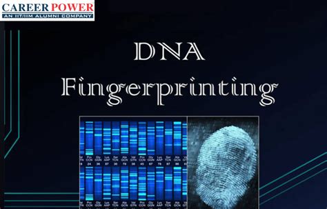 DNA Fingerprinting: Steps and Applications