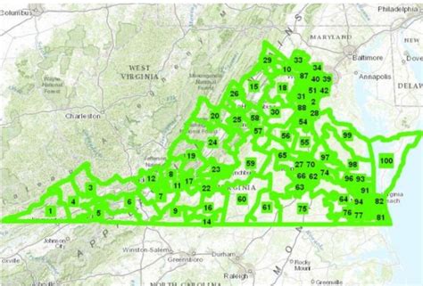 Federal court rules against Va. House in racial gerrymandering case, orders new districting plan ...