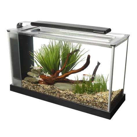 5 Gallon Fish Tank – The Perfect Nano Aquarium Size