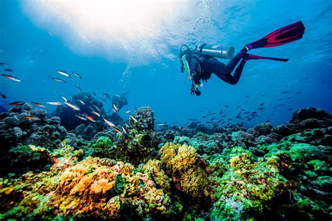 Scuba diving Grenada: Best spots & what to expect | SANDALS