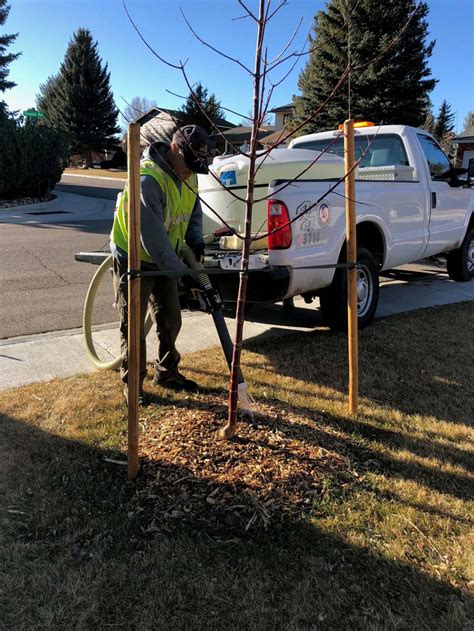 Winter Watering - Rooted In Cheyenne