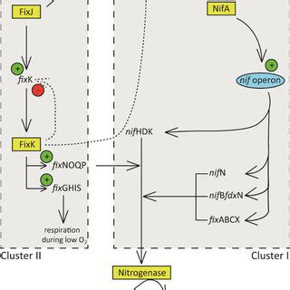 (PDF) Distribution, Characterization and the Commercialization of Elite ...