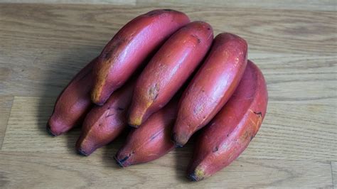 Red Banana Fruit - Free photo on Pixabay - Pixabay