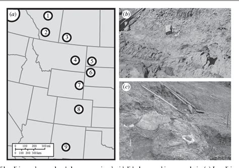 Figure 3 from Spatial niche partitioning in dinosaurs from the latest cretaceous (Maastrichtian ...