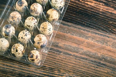 Quail bird eggs stock image. Image of breakfast, coturnix - 122011533