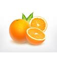 Orange fruit with slice Royalty Free Vector Image