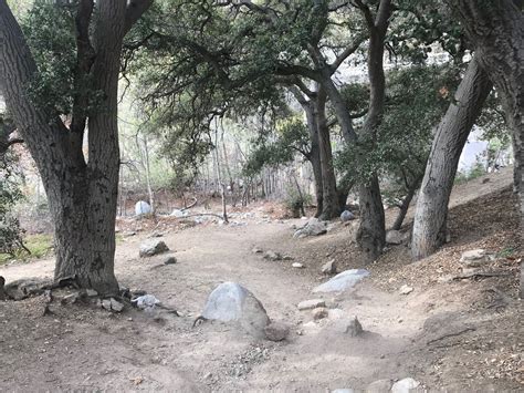 Eaton Canyon Falls: Pasadena's Infamous Waterfall Hike