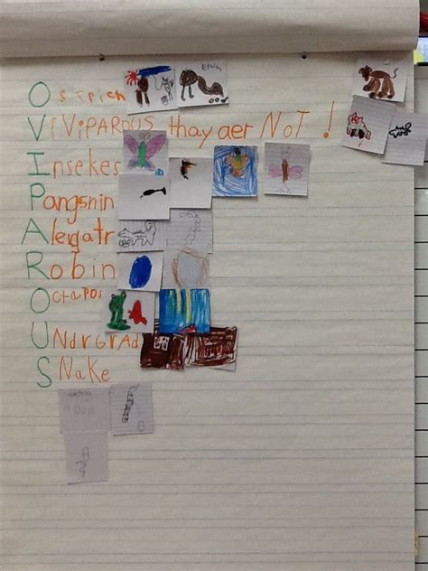 Acrostic poem about oviparous animals | Oviparous animals, Acrostic ...