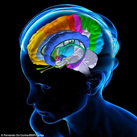 'Emotional' brain circuit study is the first to use MRI to track depression | Daily Mail Online