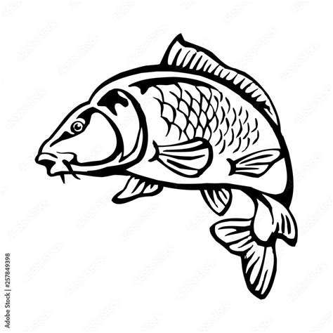 carp fish with fish scales big fish black and white clipart Stock Vector | Adobe Stock