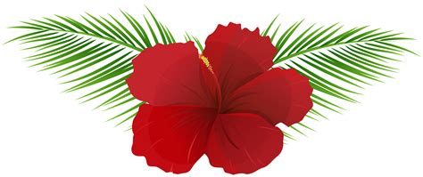 Hawaiian Flowers Clip Art No Background