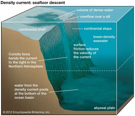 Layers Of The Seafloor