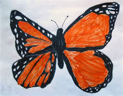 Art Class Ideas: Butterfly Symmetry