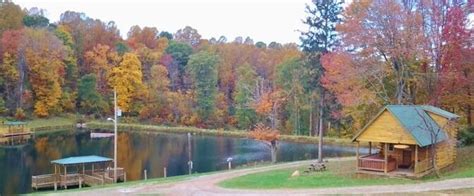 Home - Diamond Lake Cabins