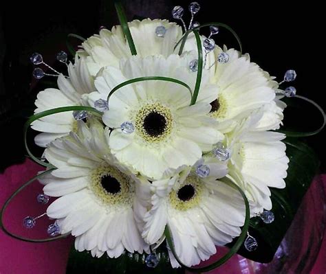 white / black gerbera bouquet | Wedding bridal bouquets, Wedding ...