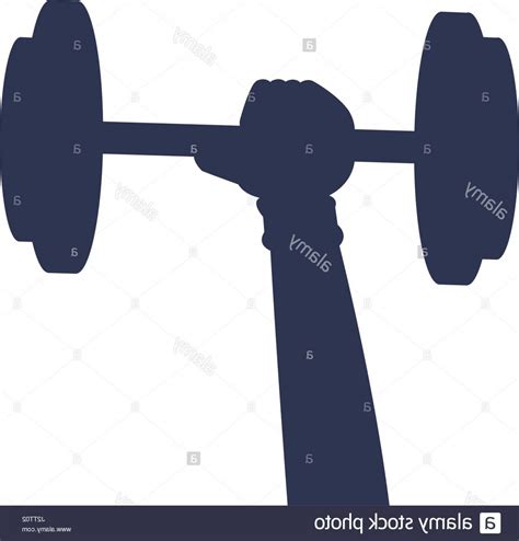 Barbell Silhouette Vector at Vectorified.com | Collection of Barbell ...