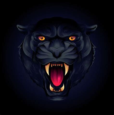 Black panther 662545 Vector Art at Vecteezy