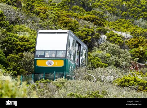 Flying Dutchman funicular at Cape Point, South Africa concept travel ...