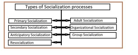 Different types of socialization processes