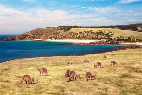 The surprising beaches ranked Australia’s best