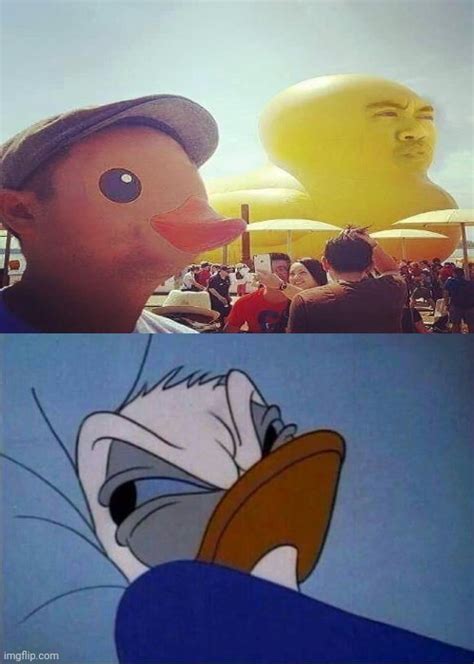 Donald Duck Face Meme