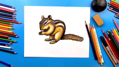 How To Draw A Realistic Chipmunk - Art For Kids Hub