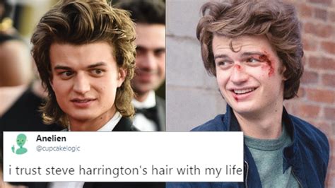 The Internet Has Turned Steve Harrington's Hair Into A Meme And It's Glorious - PopBuzz