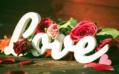 Hintergrundbilder : Liebe, rot, Typografie, Rose, Weihnachten, Valentinstag, Rosa, Emotion ...