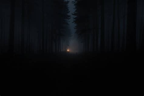 Top 999+ Dark Forest Wallpaper Full HD, 4K Free to Use