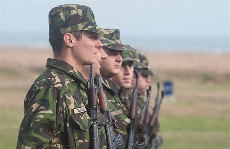 Members of the Romanian Air Force stand in formation - NARA & DVIDS ...