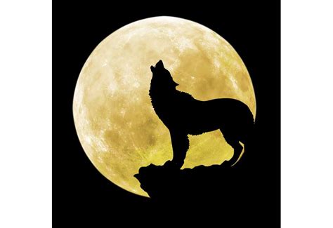 Dog Wolf Howling at the Moon | Clip Art of Dogs