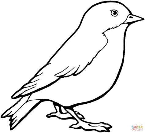 Canary Coloring Page at GetColorings.com | Free printable colorings pages to print and color