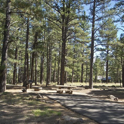 Pinegrove Campground | Grand Canyon Trust