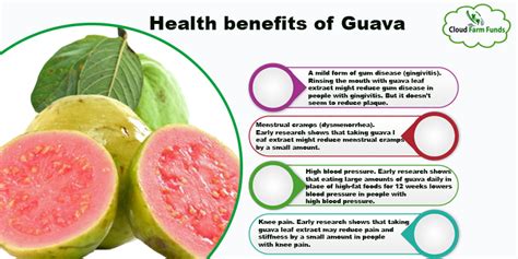 Demonstration Video On Guava Juice Processing (under PMFME, 55% OFF