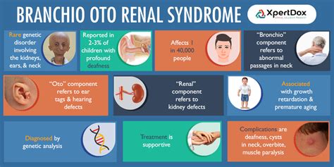 Branchio-oto-renal syndrome - wikidoc