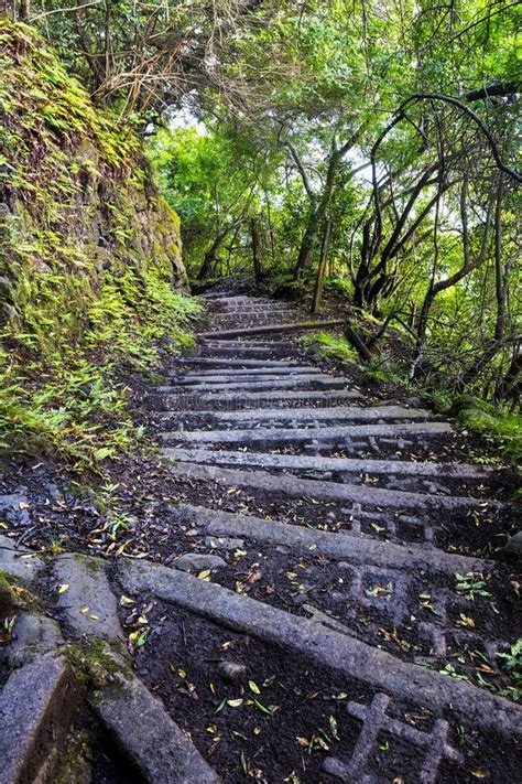 Hiking Trail on Molokai Hawaii Stock Image - Image of hiking, cinder: 57798411