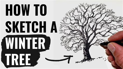 Winter Tree Drawing Tutorial - YouTube