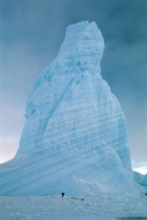 Icebergs in Antarctica