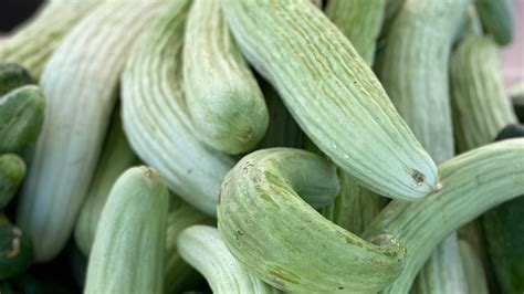 Armenian Cucumber & Tomato Salad | Carson Farmers Market