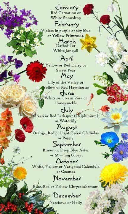 Calendar | Birth flowers, Flower meanings, Language of flowers