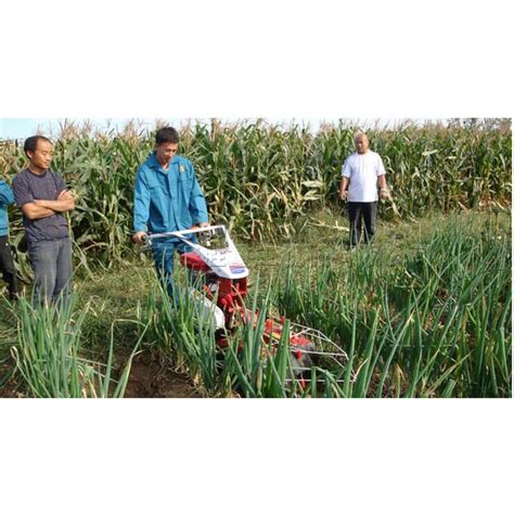 Onion Soiler Multi-Functional Furrowing and Cultivating Machine - China Onion Soiler and Multi ...