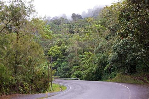 Maya Biosphere Reserve - Petén, Guatemala | Anywhere